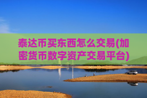 泰达币买东西怎么交易(加密货币数字资产交易平台)