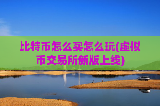 比特币怎么买怎么玩(虚拟币交易所新版上线)