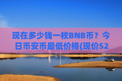现在多少钱一枚BNB币？今日币安币最低价格(现价5287.9元)