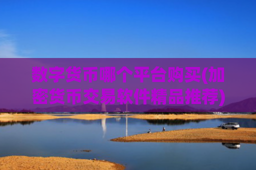 数字货币哪个平台购买(加密货币交易软件精品推荐)