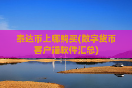 泰达币上哪购买(数字货币客户端软件汇总)
