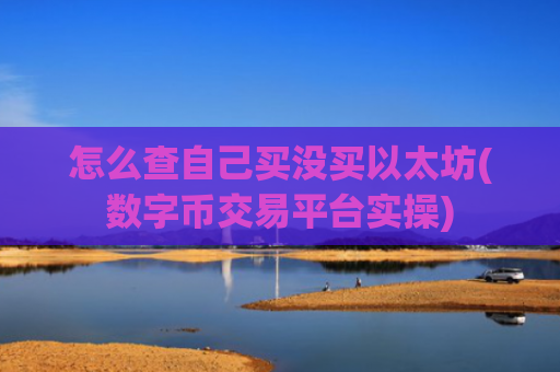 怎么查自己买没买以太坊(数字币交易平台实操)
