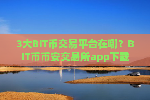 3大BIT币交易平台在哪？BIT币币安交易所app下载