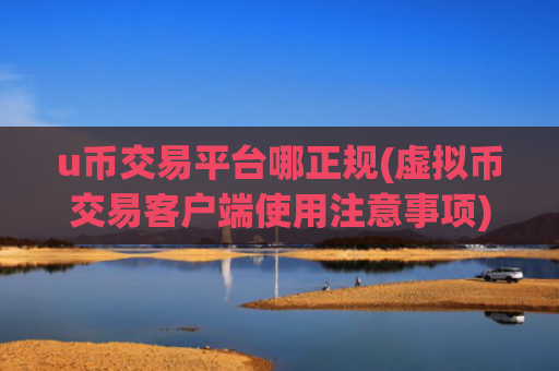 u币交易平台哪正规(虚拟币交易客户端使用注意事项)
