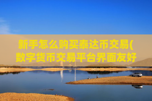 新手怎么购买泰达币交易(数字货币交易平台界面友好)