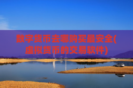 数字货币去哪购买最安全(虚拟货币的交易软件)