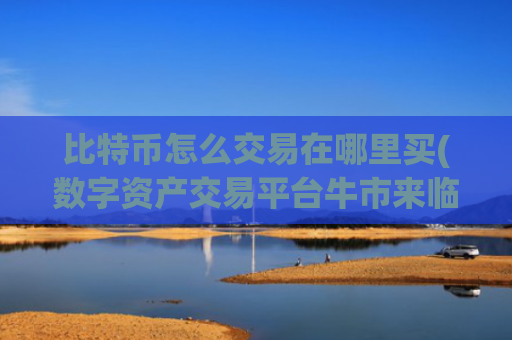 比特币怎么交易在哪里买(数字资产交易平台牛市来临)