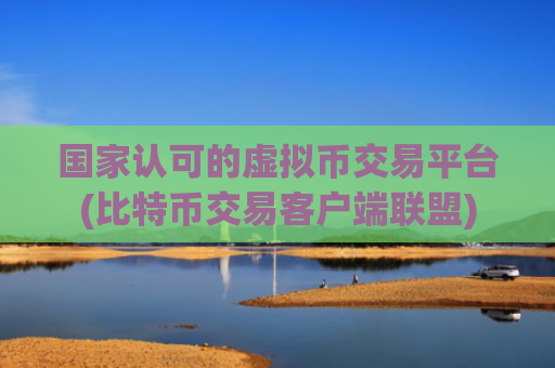 国家认可的虚拟币交易平台(比特币交易客户端联盟)