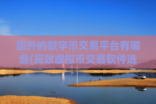 国外的数字币交易平台有哪些(高效虚拟币交易软件选择)