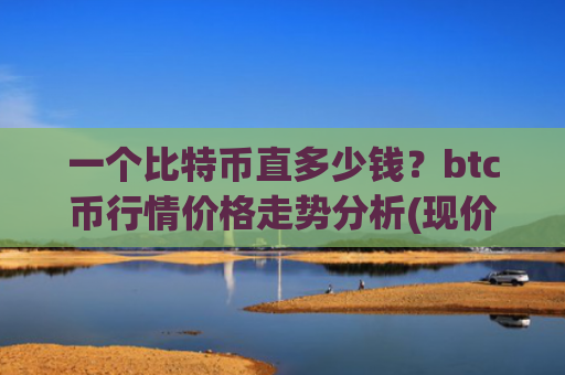 一个比特币直多少钱?btc币行情价格走势分析(现价745921.38元)
