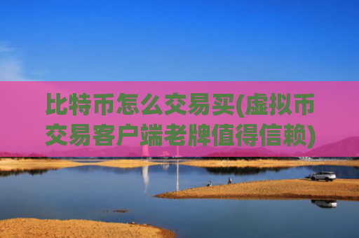 比特币怎么交易买(虚拟币交易客户端老牌值得信赖)
