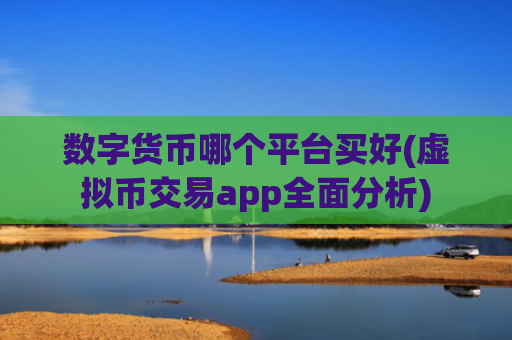 数字货币哪个平台买好(虚拟币交易app全面分析)