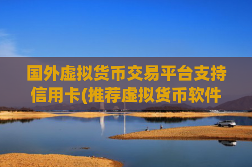 国外虚拟货币交易平台支持信用卡(推荐虚拟货币软件有哪些)