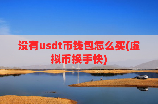 没有usdt币钱包怎么买(虚拟币换手快)
