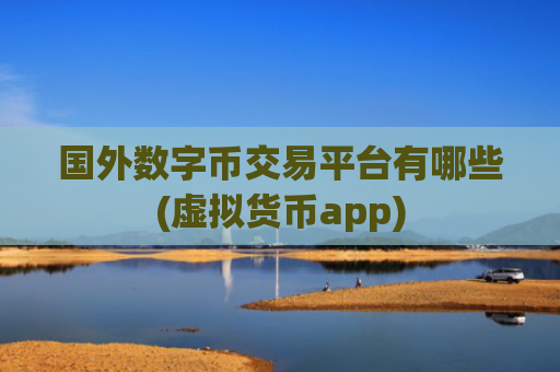 国外数字币交易平台有哪些(虚拟货币app)