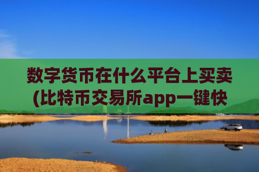 数字货币在什么平台上买卖(比特币交易所app一键快速交易)