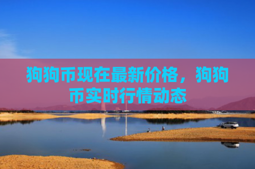 狗狗币现在最新价格，狗狗币实时行情动态