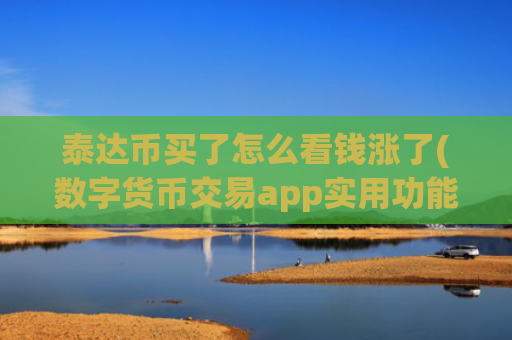 泰达币买了怎么看钱涨了(数字货币交易app实用功能介绍)