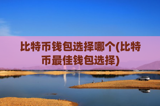 比特币钱包选择哪个(比特币最佳钱包选择)
