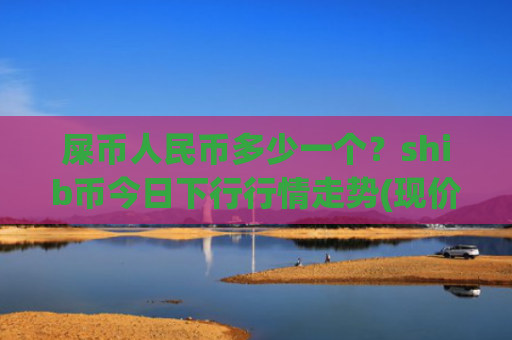 屎币人民币多少一个？shib币今日下行行情走势(现价0.00023004元)