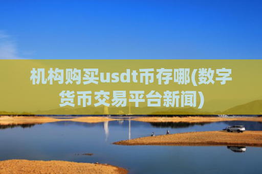 机构购买usdt币存哪(数字货币交易平台新闻)