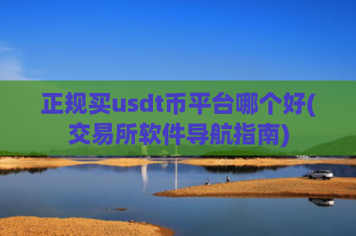 正规买usdt币平台哪个好(交易所软件导航指南)