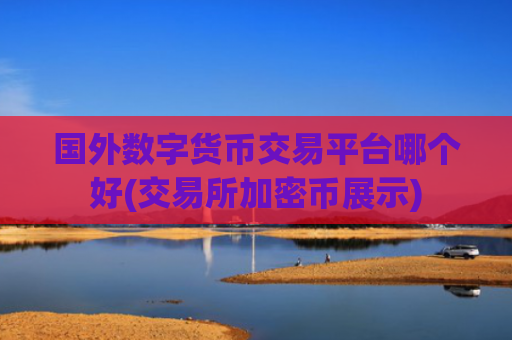 国外数字货币交易平台哪个好(交易所加密币展示)