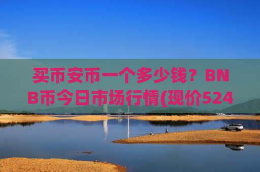 买币安币一个多少钱?BNB币今日市场行情(现价5247.59元)