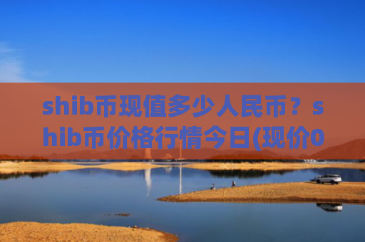 shib币现值多少人民币?shib币价格行情今日(现价0.00022884元)