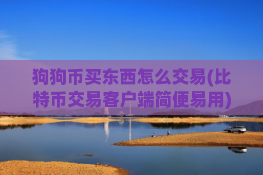 狗狗币买东西怎么交易(比特币交易客户端简便易用)