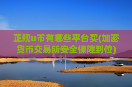 正规u币有哪些平台买(加密货币交易所安全保障到位)