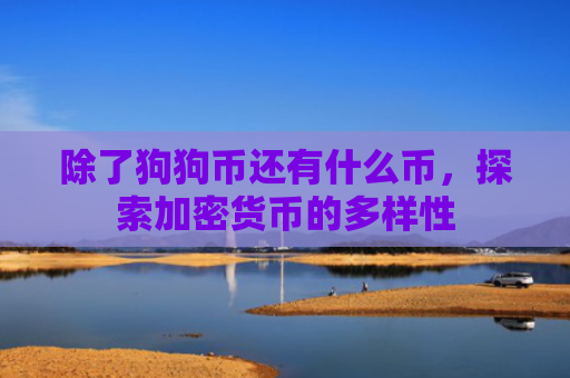 除了狗狗币还有什么币，探索加密货币的多样性