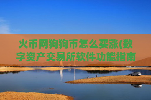 火币网狗狗币怎么买涨(数字资产交易所软件功能指南)