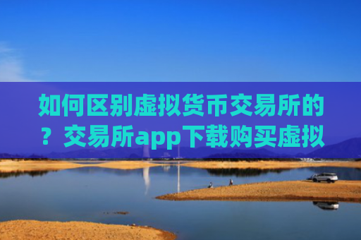 如何区别虚拟货币交易所的?交易所app下载购买虚拟货币