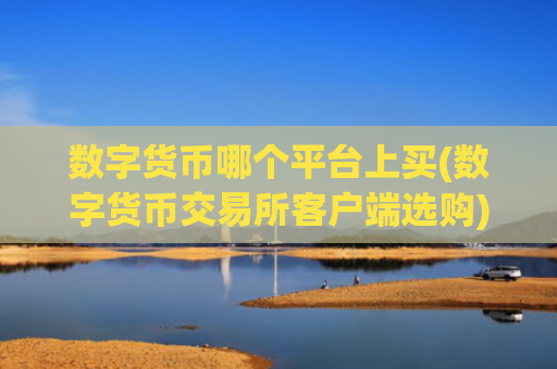 数字货币哪个平台上买(数字货币交易所客户端选购)