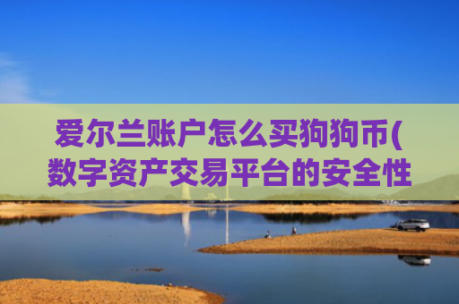 爱尔兰账户怎么买狗狗币(数字资产交易平台的安全性)