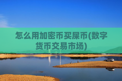 怎么用加密币买屎币(数字货币交易市场)