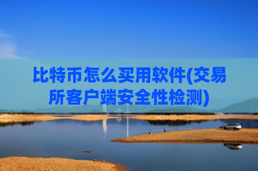 比特币怎么买用软件(交易所客户端安全性检测)