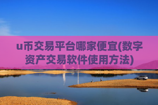 u币交易平台哪家便宜(数字资产交易软件使用方法)
