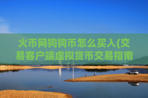 火币网狗狗币怎么买入(交易客户端虚拟货币交易指南)