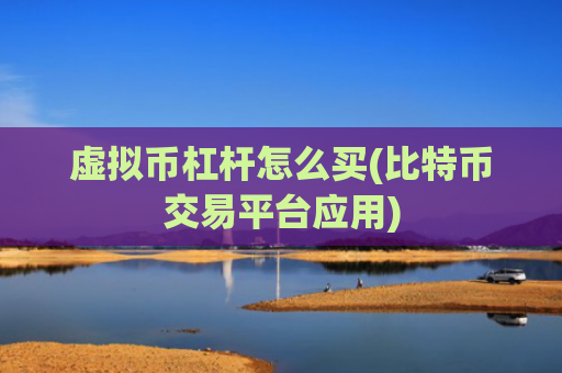 虚拟币杠杆怎么买(比特币交易平台应用)