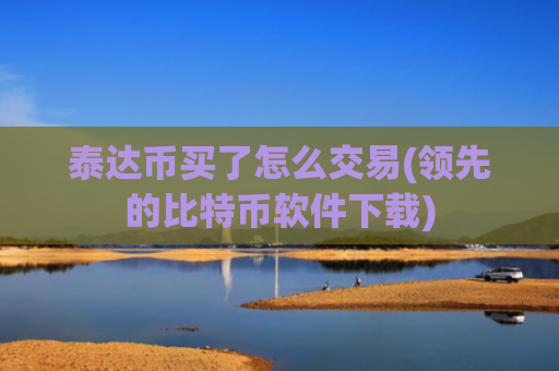 泰达币买了怎么交易(领先的比特币软件下载)