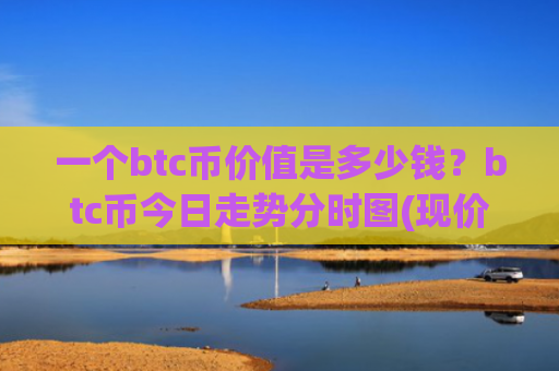 一个btc币价值是多少钱?btc币今日走势分时图(现价739903.68元)
