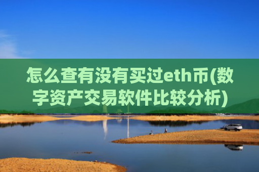 怎么查有没有买过eth币(数字资产交易软件比较分析)