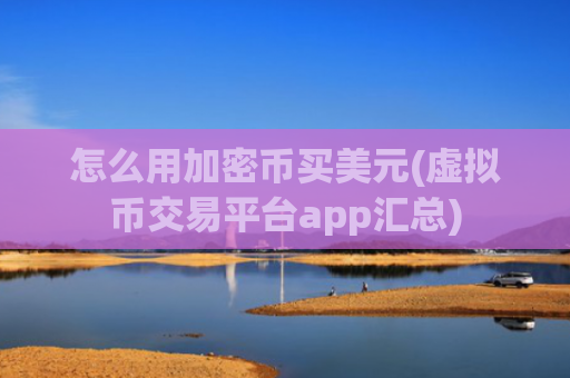 怎么用加密币买美元(虚拟币交易平台app汇总)