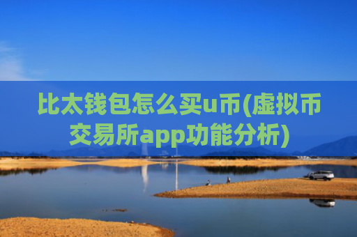 比太钱包怎么买u币(虚拟币交易所app功能分析)