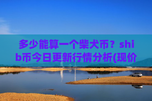 多少能算一个柴犬币？shib币今日更新行情分析(现价0.00022884元)