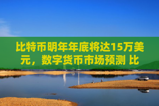 比特币明年年底将达15万美元,数字货币市场预测 比特币价格飙升