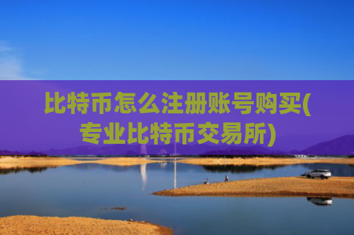 比特币怎么注册账号购买(专业比特币交易所)
