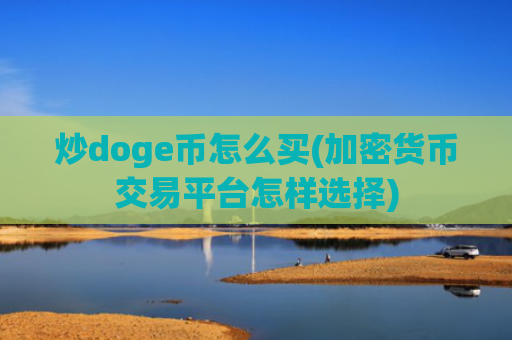 炒doge币怎么买(加密货币交易平台怎样选择)